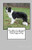 New How to Understand and Train your Border Collie Puppy or Dog