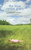 The Blue Cotton Gown: A Midwife's Memoir