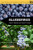 Blueberries (Crop Production Science in Horticulture)