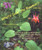 What's Doin' the Bloomin'? Revised Edition:A Pictorial Guide to Wildflowers of the Upper Great Lakes Regions, Eastern Canada and Northeastern U. S. A.