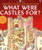 What Were Castles For? (Usborne Starting Point History)