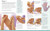 Complete Reflexology for Life