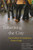 Inheriting the City: The Children of Immigrants Come of Age