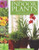 Indoor Plants: The Essential Guide to Choosing and Caring for Houseplants