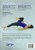Pro-Roller Massage Essentials 2nd Ed (8211-2)