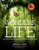 Wonders of Life: Exploring the Most Extraordinary Phenomenon in the Universe (Wonders Series) Wonders of Life: Exploring the Most Extraordinary Phenomenon in the Universe (Wonders Series)