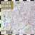 Streetwise Amsterdam Map - Laminated City Center Street Map of Amsterdam, Netherlands