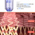 10 Pcs Replaceable Cartridges Skin  Needles for Microneedling Pen 12 Pin Cartridge