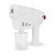 Blue Light Nano Anion Sprayer Oil Treatment Hair Care Machine for Home Beauty