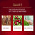 Red Ginseng Snail Eye Cream Anti Aging Eye Cream Eye Wrinkle Eye Care Firming Essence