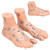 2pcs 19cm / 7.5in Feet Acupoint Model Acupuncture Teaching Aids Supplies Foot Model