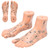 2pcs 19cm / 7.5in Feet Acupoint Model Acupuncture Teaching Aids Supplies Foot Model