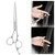 Professional Hair Flat Scissors Barber Salon 404 Steel Hairdressing Shears