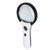 LED Magnifying Glass Good Light Transmittance 4 LEDs High Definition Handheld Magnifying Glass for Reading