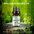 6PCS Water Soluble Aromatherapy Essential Oil for Humidifiers 10ML