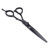 Hair Scissors 5.5 Inches Black Stainless Steel Adjustable Hairdressing Scissors for Hair Thinning ShearsThinning Scissors