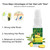 30ml Ginger Hair Growth Serum Refreshing Oil Control Anti Hair Loss Liquid for Men and Women
