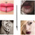 Piercing Needles Mixed Sizes 12G 14G 16G 18G and 20G Disposable Body Piercing Needles Piercing Supplies