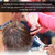 Professional Hair Scissors Barber Salon Steel Hairdressing Shears for Hairdressers 17cm