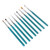 9Pcs Nail Art Brush Set Nylon Hair Nail Design Brushes with Transparent Blue Metal Rod for DIY Nail Art Designs