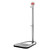 Clauss Party Barrel Butler 5 L