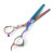 Professional Hair Cutting Thining Scissors Salon Barber Hairdressing Shear #04