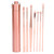 Stainless Steel Spiral Ear Wax Cleaner Set Portable Ear Pick Spoon Earwax Removal Tool KitRose Gold