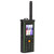 SG8800 Mobile Smartphone Unlocked Cell Phone 2G Retro Phone 4 SIM Card Large Button 2400mAh Capacity for Senior(Green )