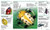 Pocket Genius: Bugs