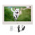 Digital Photo Frame 10.1 Inch HD Auto Rotating Support Video Music Electronic Picture Frame with Remote Control 100‑240V UK Plug