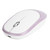 Wireless Mouse DPI Adjustable Chargable Optical Computer External Device with USB ReceiverPurple