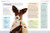 What Dogs Want: A Visual Guide to Understanding Your Dog's Every Move