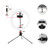 10in USB Desktop Ring Light with 3 Color Modes/10 Brightness Levels/Flexible Power Supply/360° Rotatable Ball Head/Phone Stand/Tripod