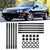 Car Cylinder Head Stud Screw Kit 

208-4303 Fits for Honda Acura B18C1 B18C5 B20VTEC