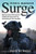 Surge: My Journey with General David Petraeus and the Remaking of the Iraq War (Yale Library of Military History)