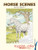 Horse Scenes to Paint or Color (Dover Art Coloring Book) Horse Scenes to Paint or Color (Dover Art Coloring Book)