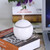 USB Essential LED Touch Aroma Ultrasonic Humidifier Oil Diffuser Air Purifier White