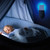 Flying Insect Trap Indoor Plug-in Bug Catcher Zapper Light with 1pc Sticky Pads Purple Night Light Mosquito Trap Fly Catcher for Home Office House Kitchen Captures Houseflies / Fruit Flies / Gnats