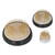 3Pcs/Set Round Flower Insert Arranger Base Tool 37Pin/91Pin/169Pin Floral Arranging Holder