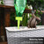 Automatic Plant Flower Watering Spike Home Garden Balcony Drip Irrigation Tool Supplies AccessoriesGreen