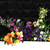 81 Pockets Vertical Felt Garden Plant Growing Container Bags Wall Hanging Planter (Black)
