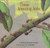 Those Amazing Ants