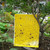 50Pcs Double Sided Insect Yellow Catching Board Sticky Flying Insect Glue Traps Catcher Garden