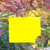 50Pcs Double Sided Insect Yellow Catching Board Sticky Flying Insect Glue Traps Catcher Garden