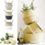 Foldable Storage Baskets Laundry Straw Patchwork Home Seagrass Belly Garden Flower Pot Basket