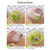 Manual Food Chopper Hand Pull Garlic Chopper Food Processor Vegetable Chopper Portable Chopper for Garlic Onion Ginger