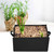 1Pc Vegetable Strawberry Planting Square Bag Garden Plant Flower Nursery Planter(S 40*30*20cm)