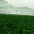 Garden Vegetable Fruit Protector Fly Insect Repellent Mesh Gardening Net Cover (Green)