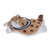 Home Carpet Comfortable Cat Pattern Area Rug Large Size Home Decoration for Room Office Civet Cat 50x80cm / 19.69x31.5in