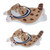 Home Carpet Comfortable Cat Pattern Area Rug Large Size Home Decoration for Room Office Civet Cat 50x80cm / 19.69x31.5in